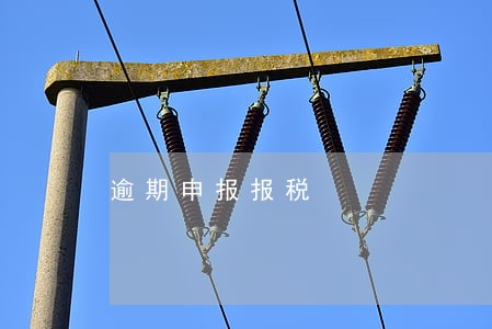 逾期申报报税 逾期申报报税