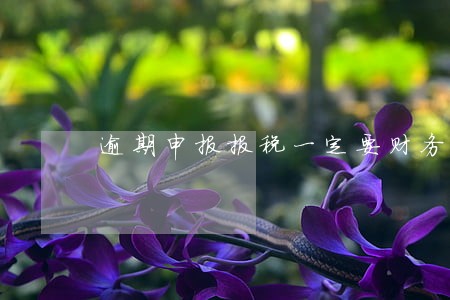 逾期申报报税一定要财务去吗 逾期申报报税一定要财务去吗