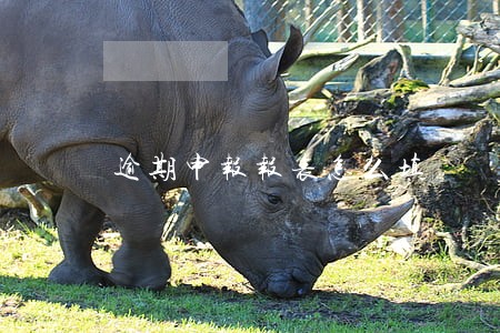 逾期申报报表怎么填 逾期申报报表怎么填