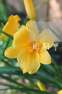 逾期申报报表有罚款吗 逾期申报报表有罚款吗