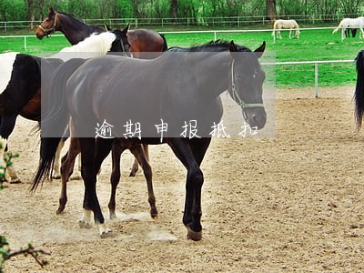 逾期申报抵扣 逾期申报抵扣