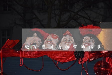 逾期申报抵扣审批结果 逾期申报抵扣审批结果