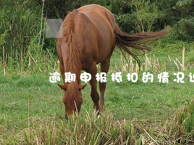 逾期申报抵扣的情况说明 逾期申报抵扣的情况说明