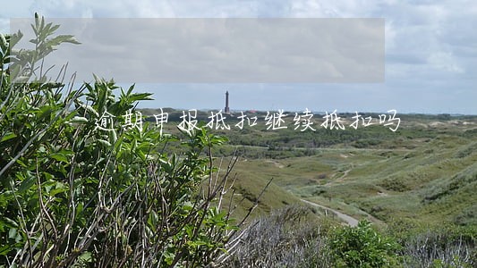 逾期申报抵扣继续抵扣吗 逾期申报抵扣继续抵扣吗