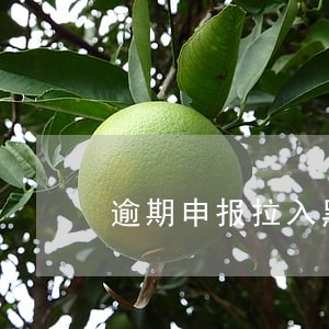 逾期申报拉入黑名单 逾期申报拉入黑名单