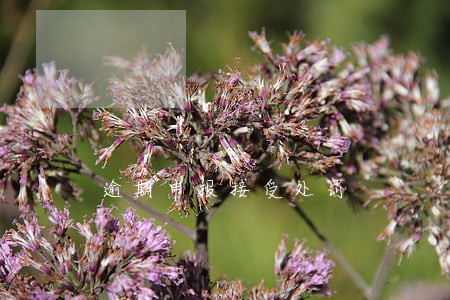 逾期申报接受处罚 逾期申报接受处罚