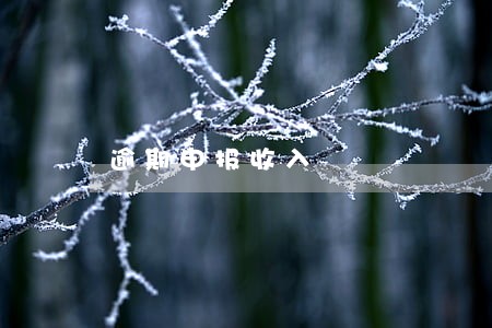 逾期申报收入 逾期申报收入