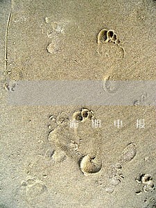 逾期申报整改报告怎么写 逾期申报整改报告怎么写