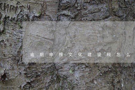 逾期申报文化建设税怎么办 逾期申报文化建设税怎么办