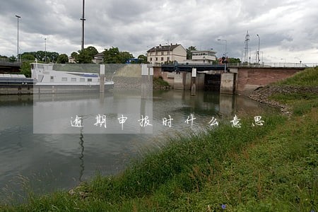 逾期申报时什么意思 逾期申报时什么意思
