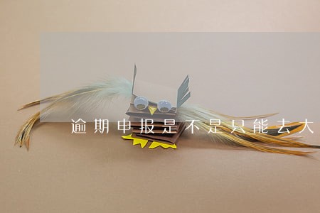 逾期申报是不是只能去大厅办理 逾期申报是不是只能去大厅办理