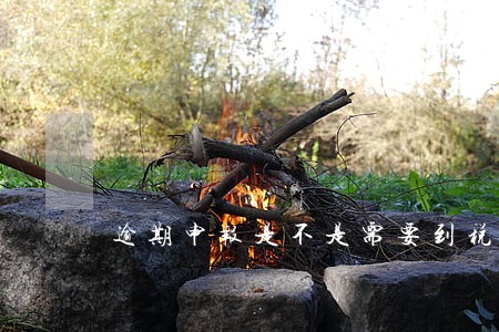 逾期申报是不是需要到税务局 逾期申报是不是需要到税务局