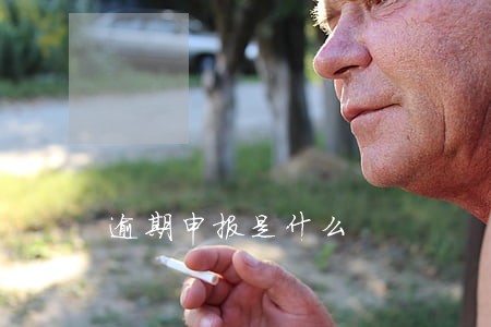 逾期申报是什么 逾期申报是什么