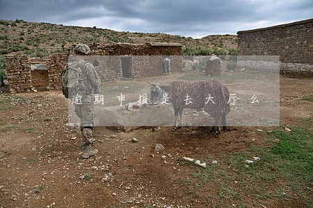 逾期申报是去大厅么 逾期申报是去大厅么
