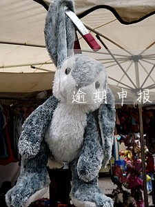 逾期申报是每年一次首违不罚吗 逾期申报是每年一次首违不罚吗