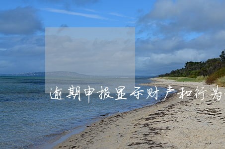 逾期申报显示财产和行为税 逾期申报显示财产和行为税
