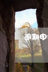 逾期申报暂无申报数据