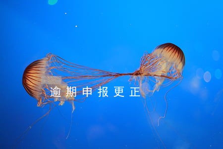 逾期申报更正 逾期申报更正