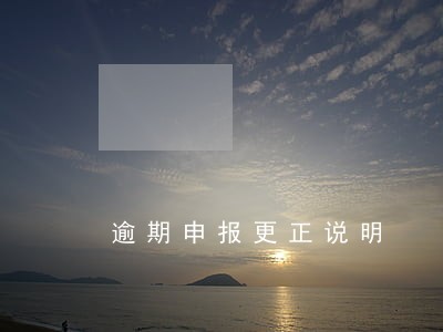 逾期申报更正说明 逾期申报更正说明