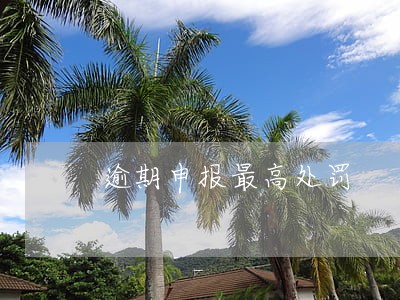 逾期申报最高处罚 逾期申报最高处罚
