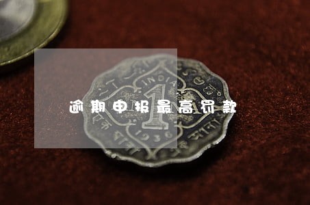 逾期申报最高罚款 逾期申报最高罚款