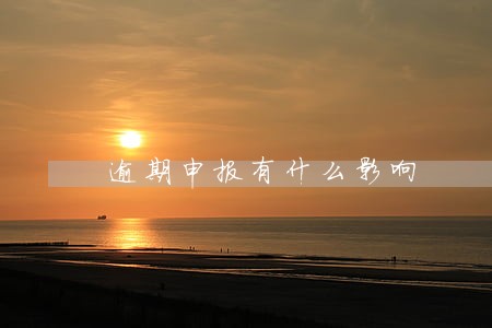 逾期申报有什么影响 逾期申报有什么影响