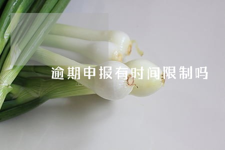 逾期申报有时间限制吗 逾期申报有时间限制吗