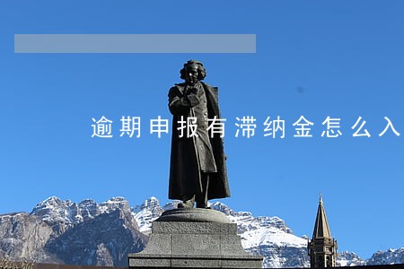 逾期申报有滞纳金怎么入账 逾期申报有滞纳金怎么入账