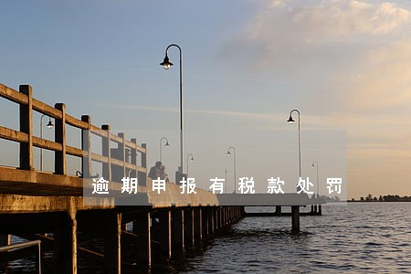 逾期申报有税款处罚 逾期申报有税款处罚