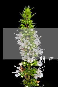 逾期申报有罚款吗 逾期申报有罚款吗