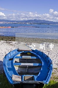 逾期申报有表决权 逾期申报有表决权