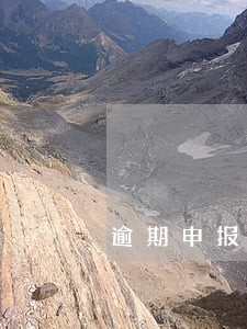 逾期申报未缴纳罚款 逾期申报未缴纳罚款
