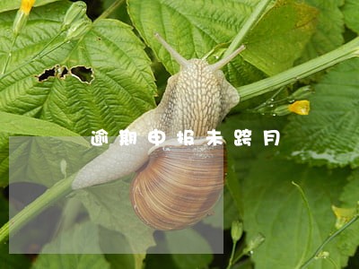 逾期申报未跨月 逾期申报未跨月