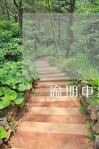 逾期申报查询不到 逾期申报查询不到