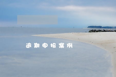 逾期申报案例 逾期申报案例
