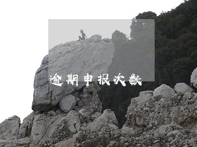 逾期申报次数
