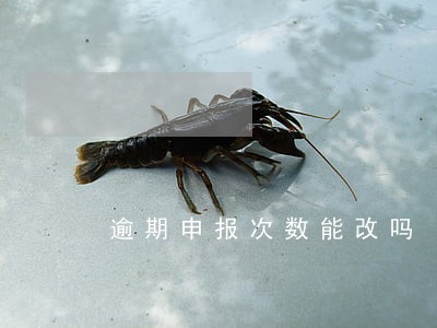 逾期申报次数能改吗 逾期申报次数能改吗