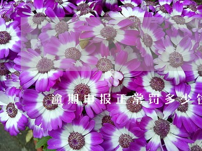 逾期申报正常罚多少钱 逾期申报正常罚多少钱