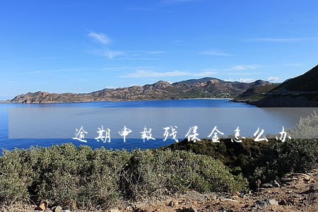 逾期申报残保金怎么办 逾期申报残保金怎么办