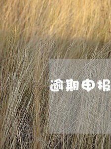 逾期申报水利基金要罚款吗 逾期申报水利基金要罚款吗