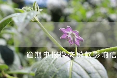 逾期申报没交税款影响信用等级吗 逾期申报没交税款影响信用等级吗
