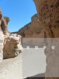 逾期申报没交罚款 逾期申报没交罚款