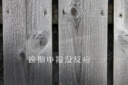 逾期申报没反应 逾期申报没反应