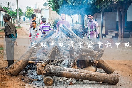 逾期申报没有公章能申报吗 逾期申报没有公章能申报吗