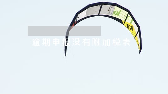 逾期申报没有附加税表 逾期申报没有附加税表