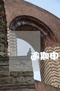 逾期申报法人怎么办 逾期申报法人怎么办