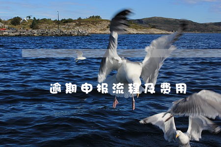 逾期申报流程及费用 逾期申报流程及费用
