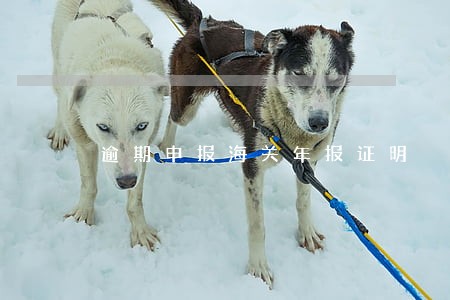 逾期申报海关年报证明 逾期申报海关年报证明
