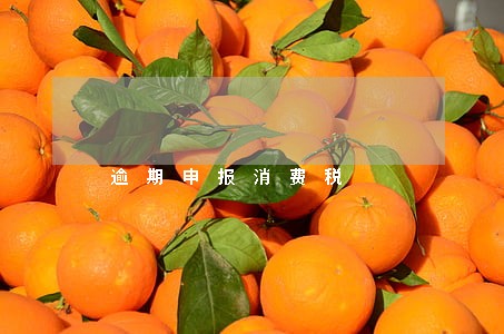 逾期申报消费税 逾期申报消费税
