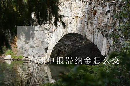逾期申报滞纳金怎么交 逾期申报滞纳金怎么交